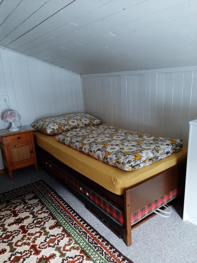 Apartament Casa Schuoler Disentis Zewnętrze zdjęcie