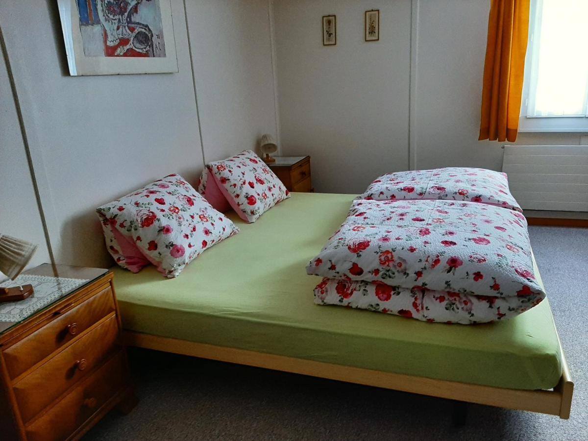 Apartament Casa Schuoler Disentis Zewnętrze zdjęcie