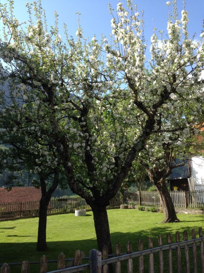 Apartament Casa Schuoler Disentis Zewnętrze zdjęcie