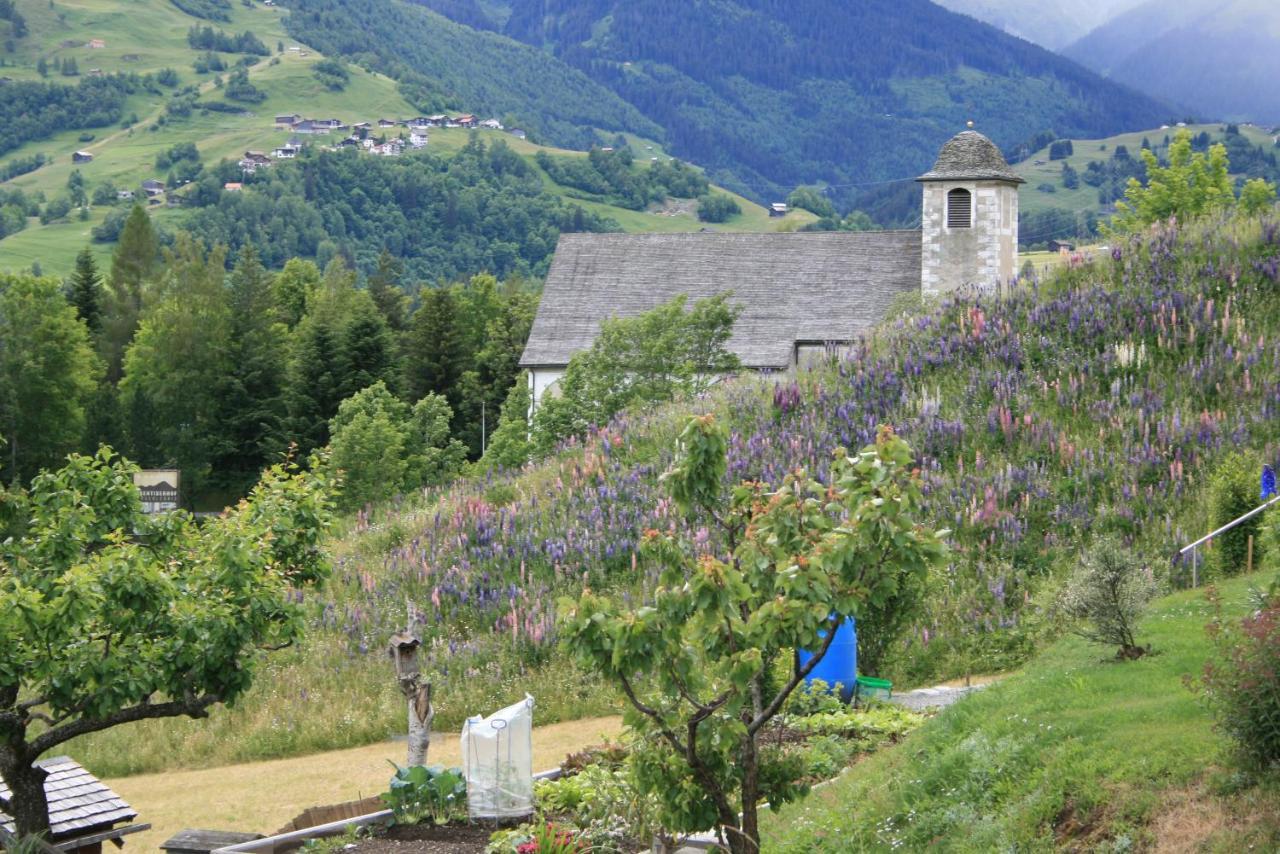 Apartament Casa Schuoler Disentis Zewnętrze zdjęcie
