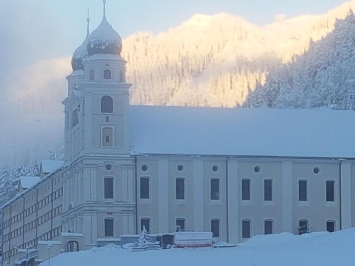 Apartament Casa Schuoler Disentis Zewnętrze zdjęcie